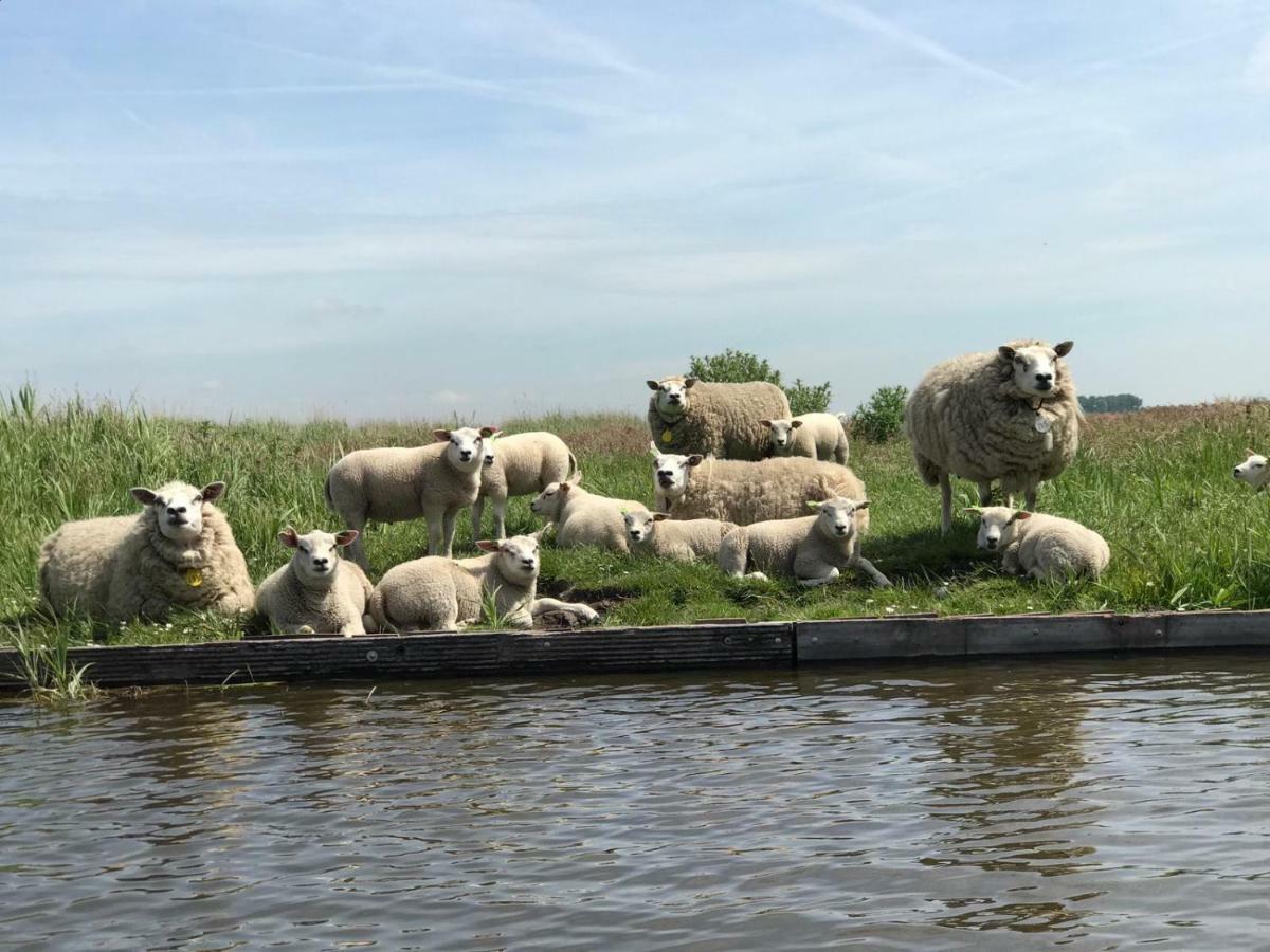 GrootschermerPaleis Noordeinde公寓 外观 照片